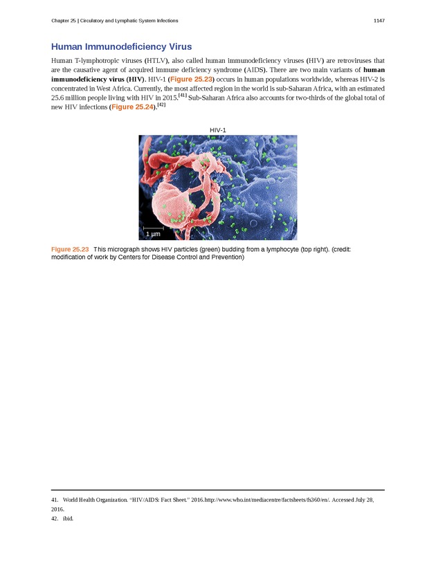 Microbiology - 