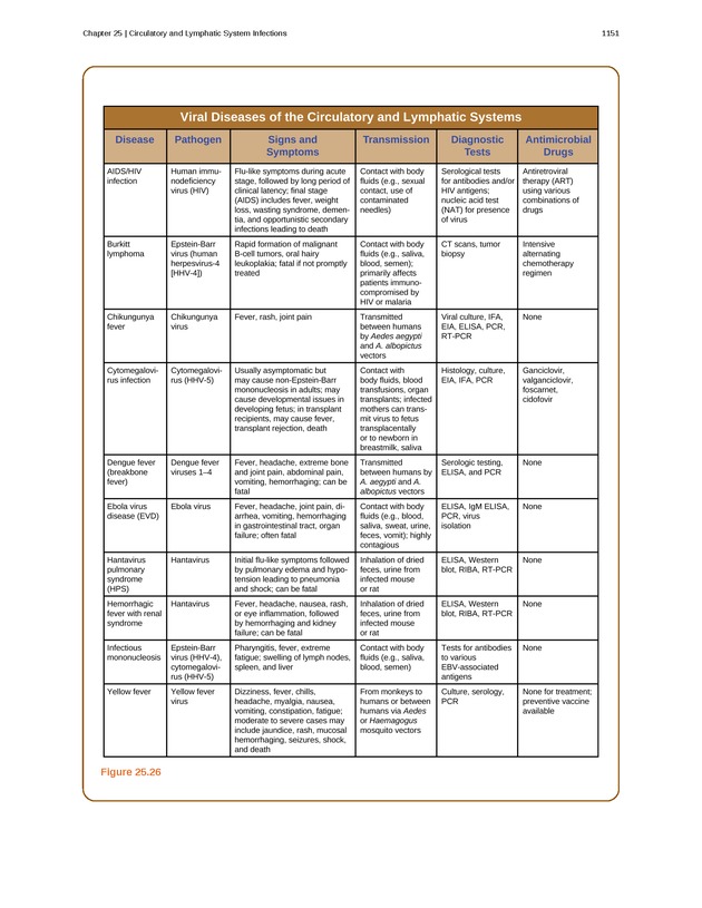 Microbiology - 