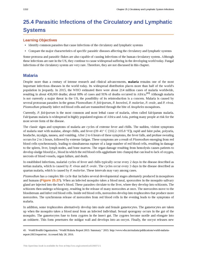 Microbiology - 