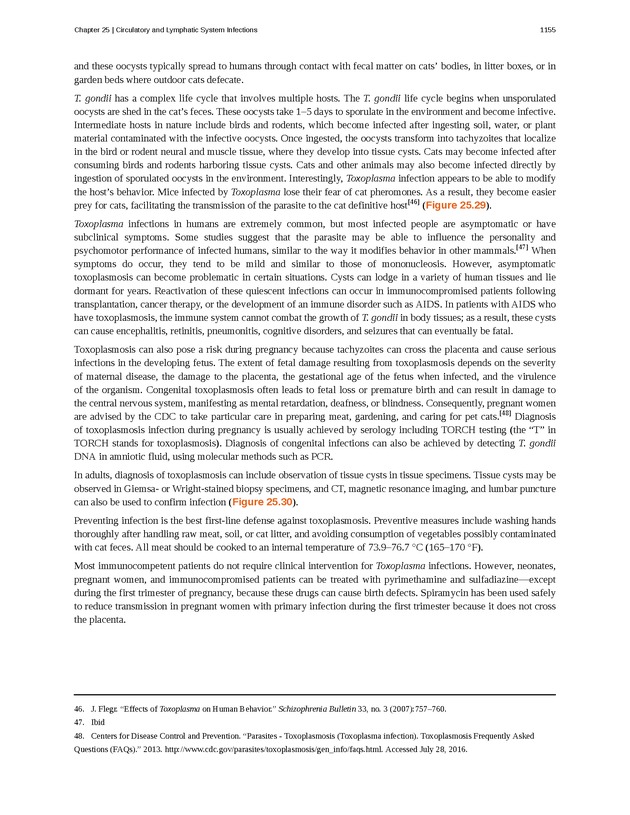 Microbiology - 
