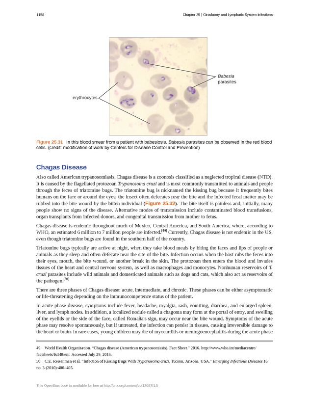 Microbiology - 