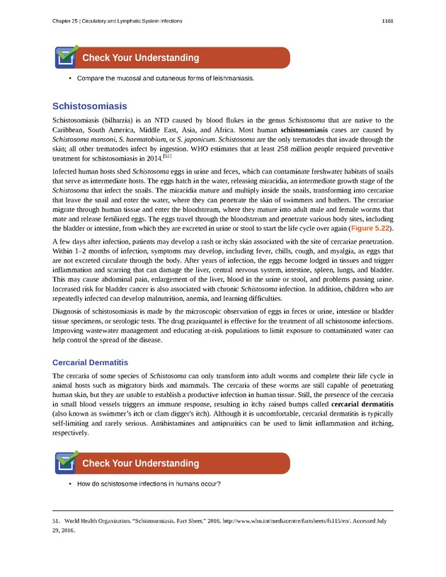 Microbiology - 