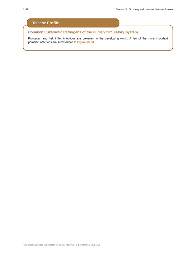 Microbiology - 