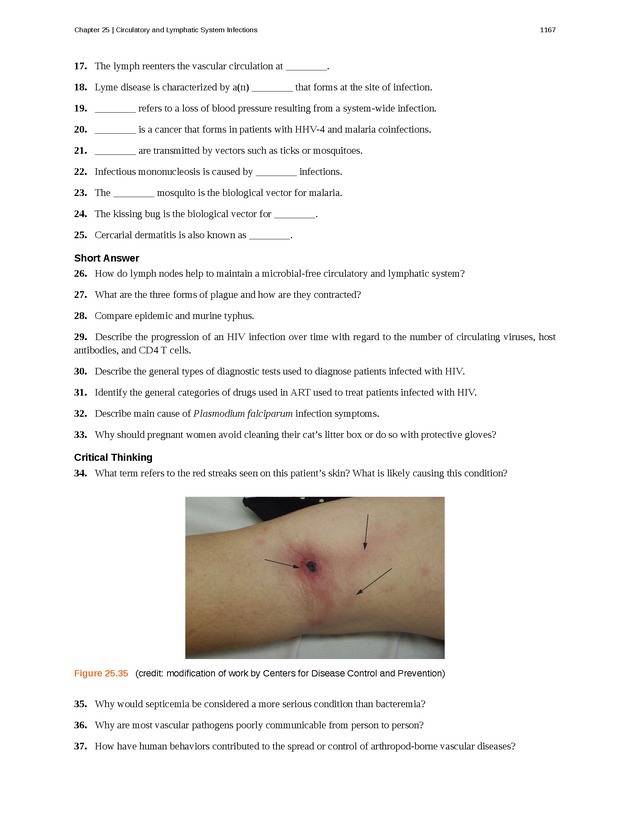 Microbiology - 