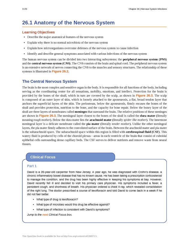 Microbiology - 