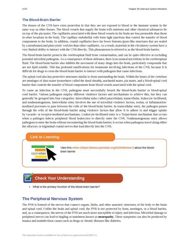 Microbiology - 