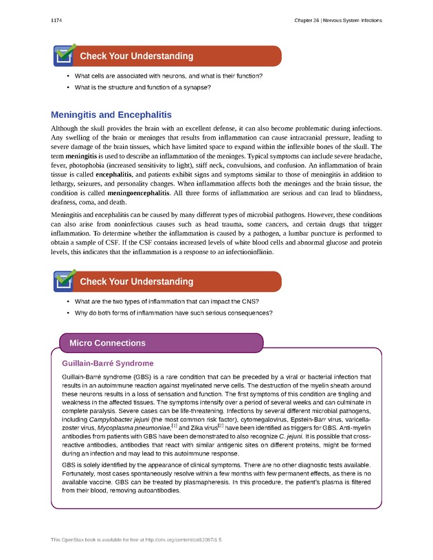 Microbiology - 