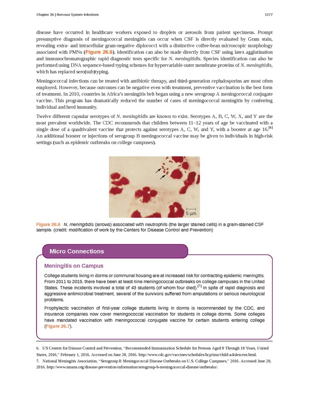 Microbiology - 