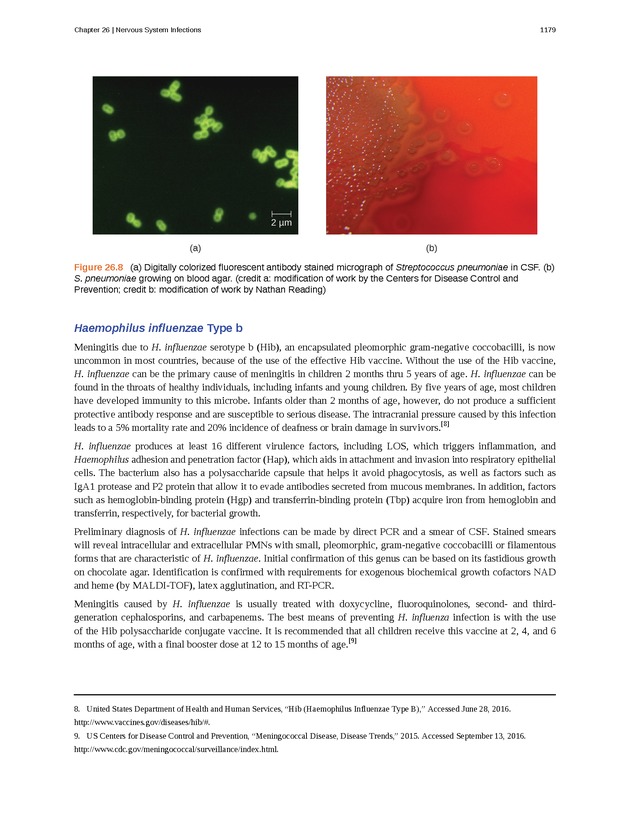 Microbiology - 