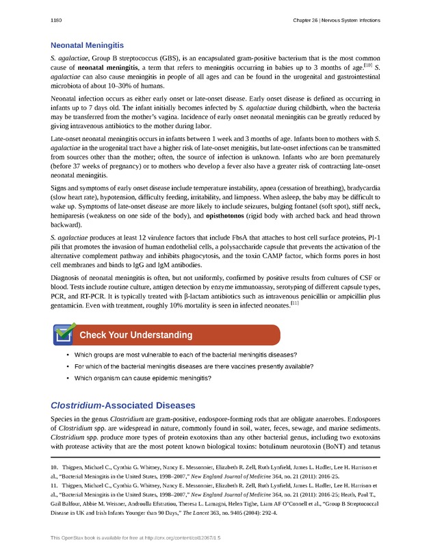 Microbiology - 