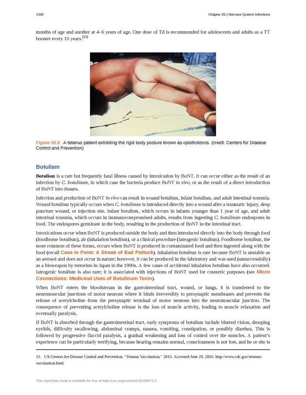 Microbiology - 