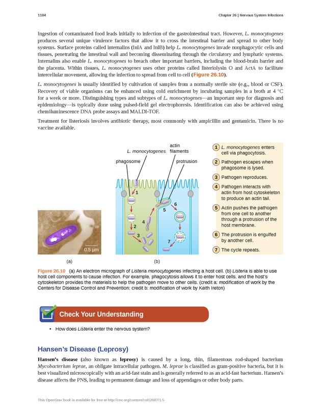 Microbiology - 