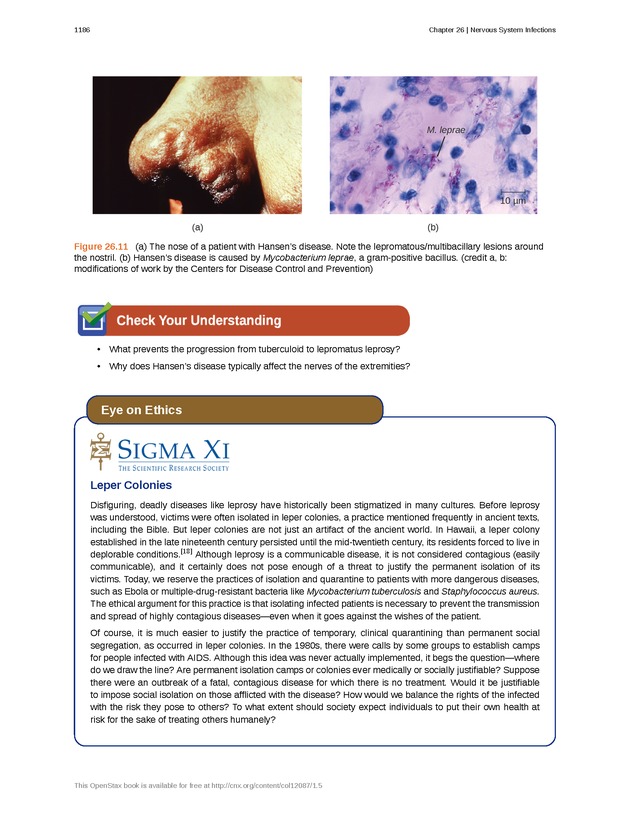 Microbiology - 