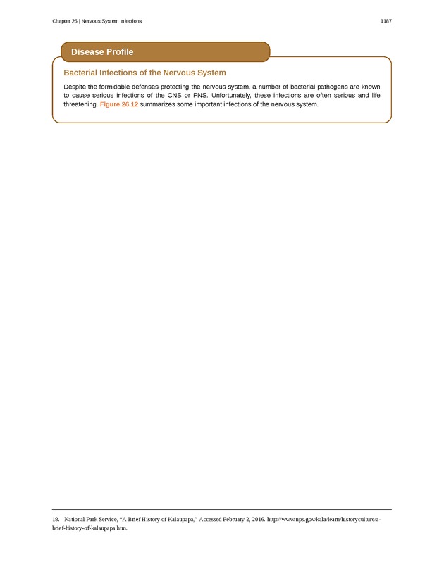 Microbiology - 