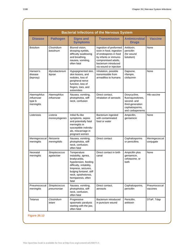 Microbiology - 
