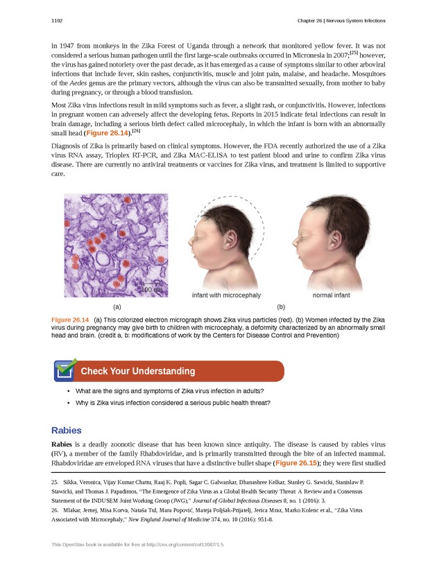 Microbiology - 