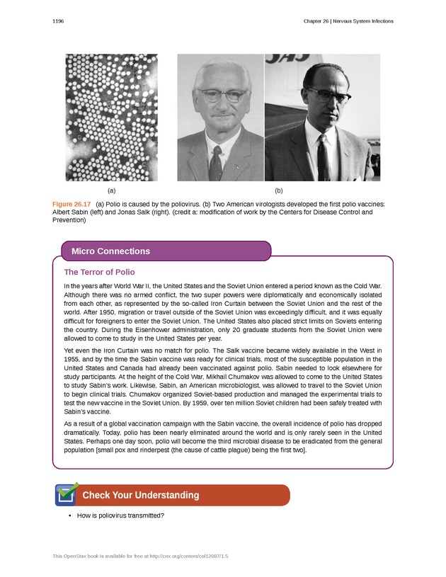 Microbiology - 