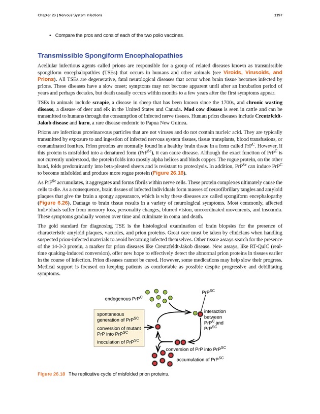 Microbiology - 