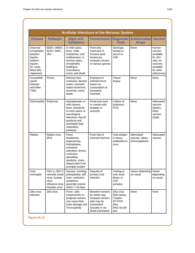 Microbiology - 