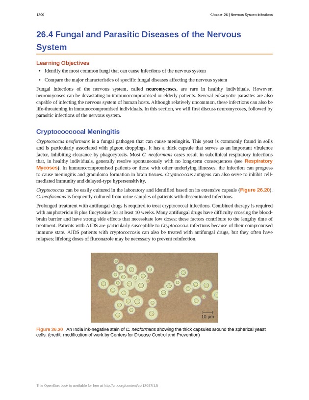Microbiology - 