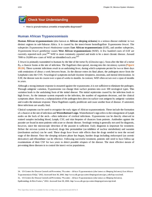 Microbiology - 
