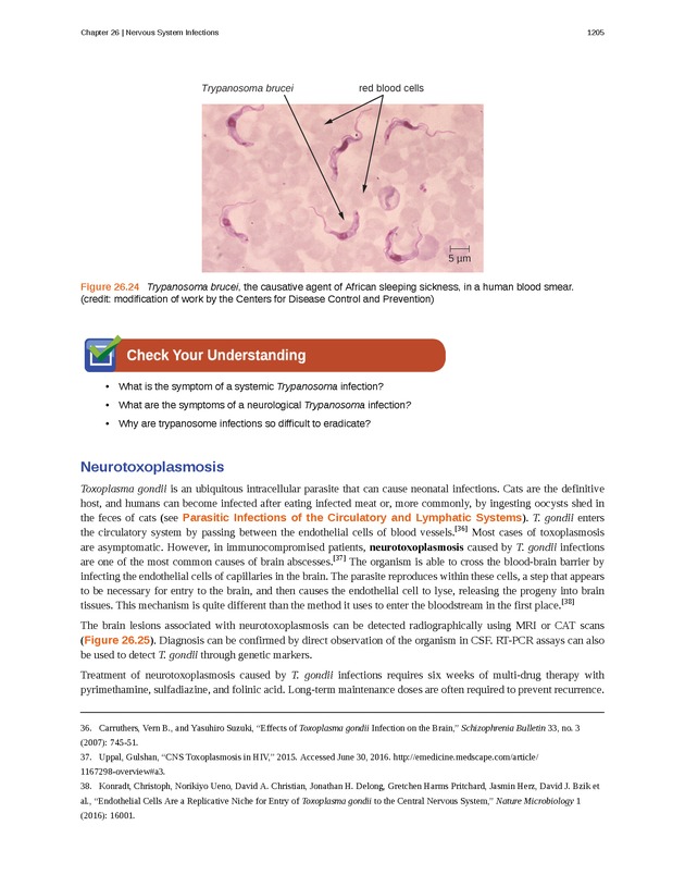 Microbiology - 