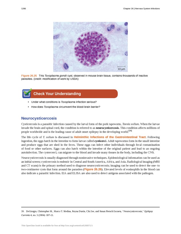 Microbiology - 