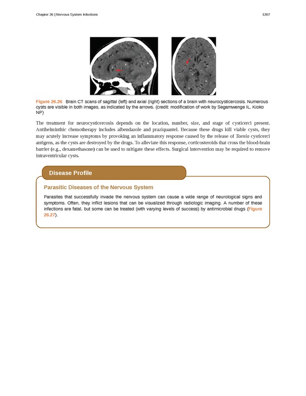 Microbiology - 