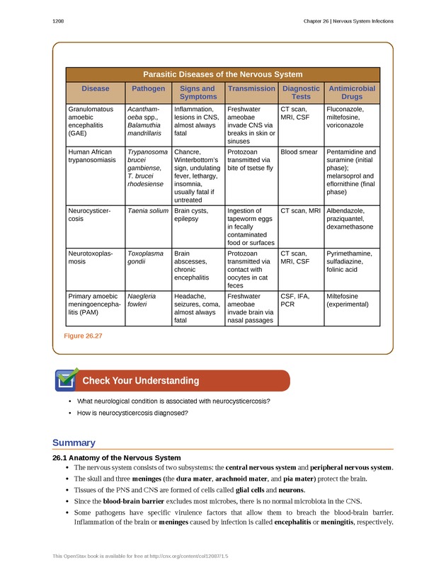 Microbiology - 