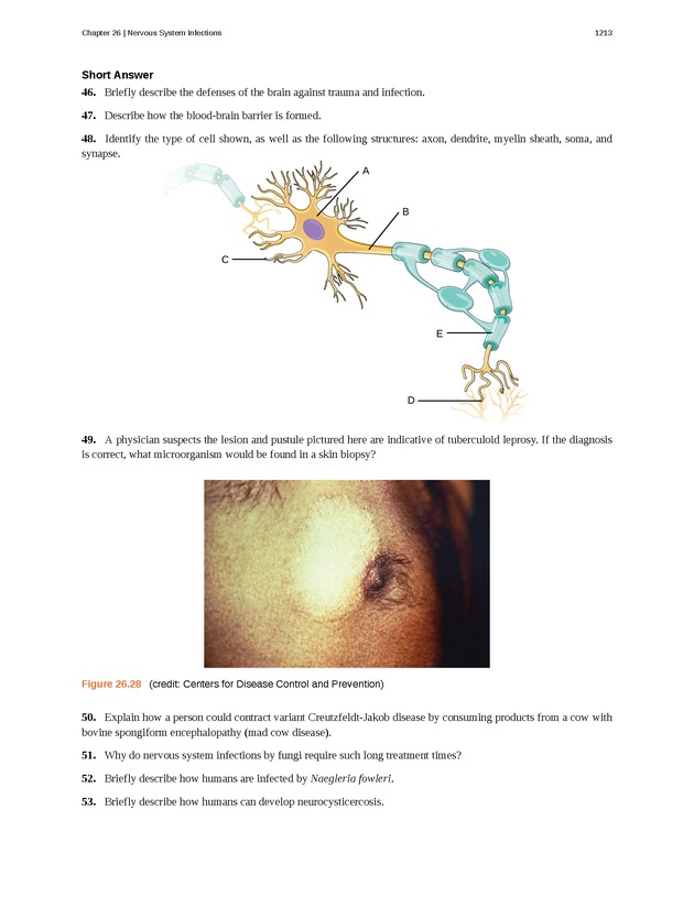 Microbiology - 