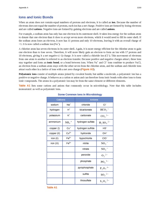 Microbiology - 