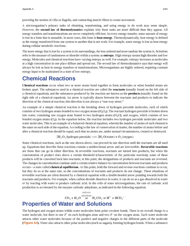 Microbiology - 