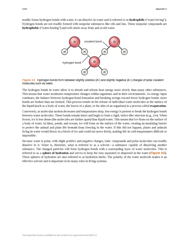 Microbiology - 