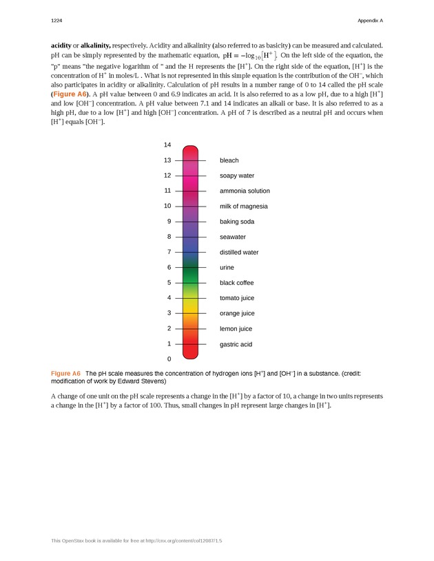 Microbiology - 