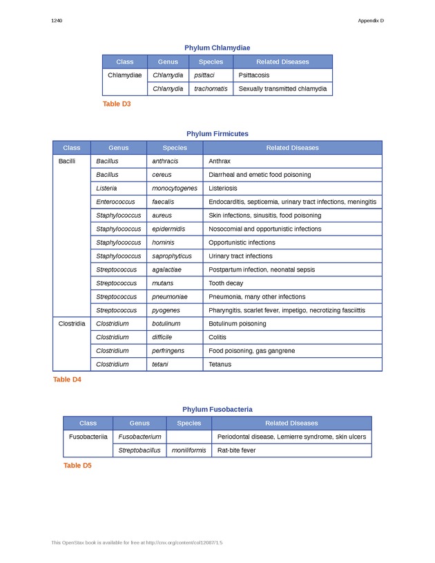 Microbiology - 