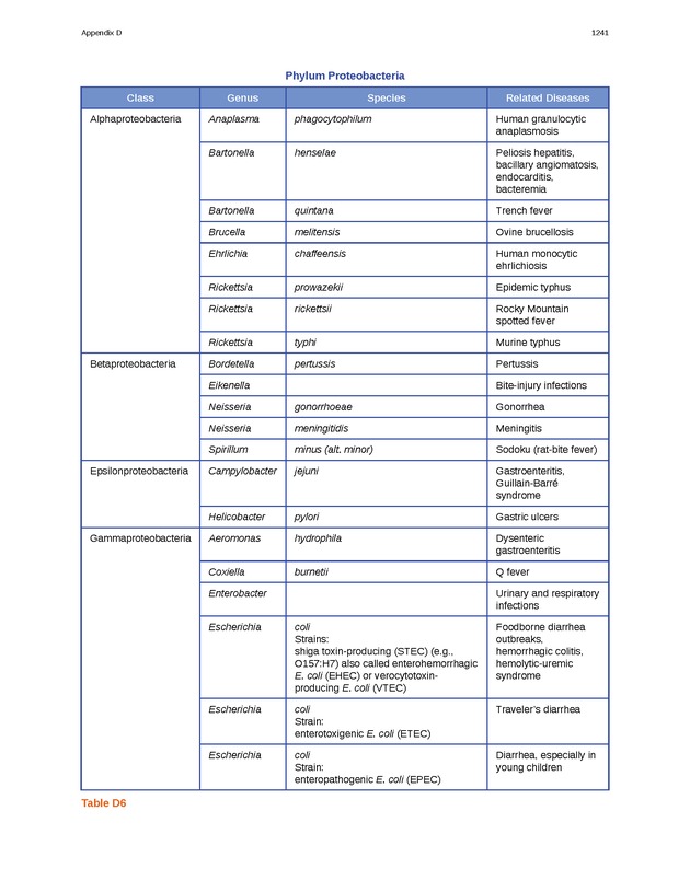 Microbiology - 