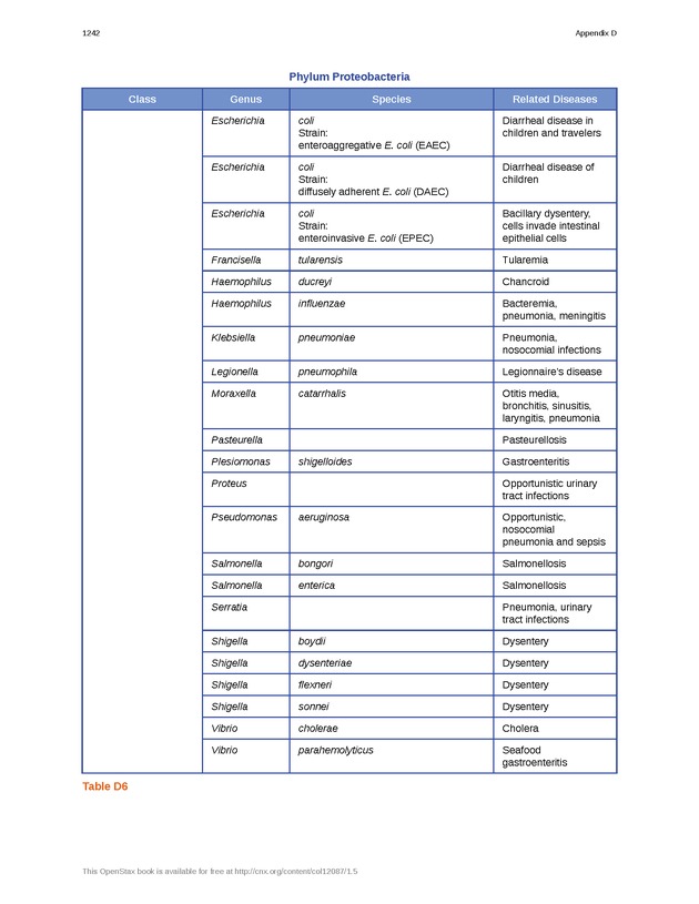 Microbiology - 