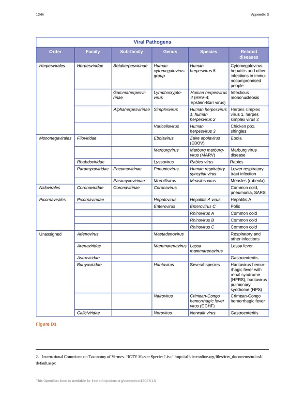 Microbiology - 