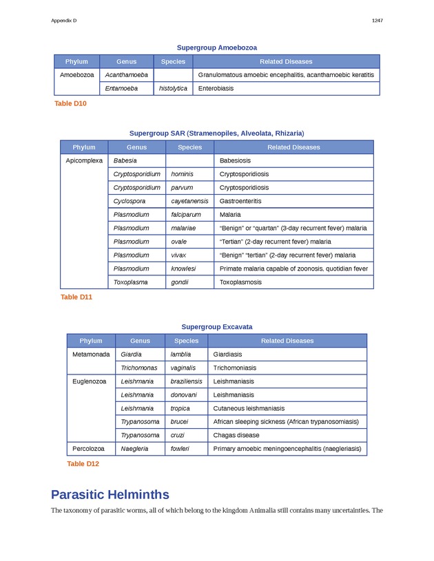 Microbiology - 