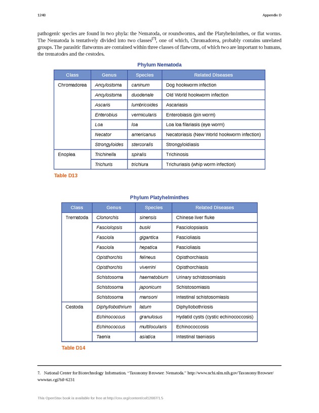 Microbiology - 