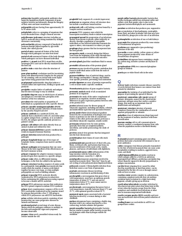 Microbiology - 
