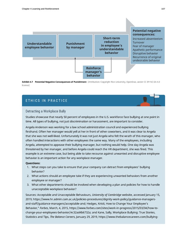 Organizational Behavior - Page 101