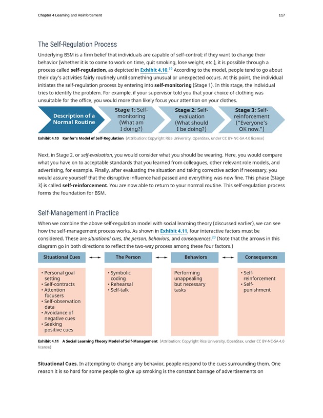 Organizational Behavior - Page 111