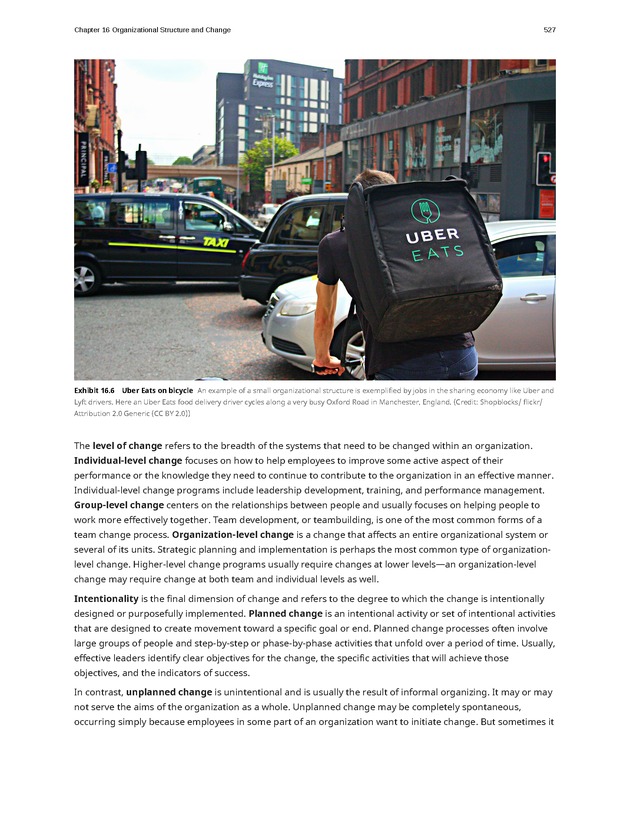 Organizational Behavior - Page 521