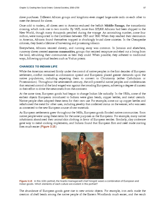 U.S. History - Page 87