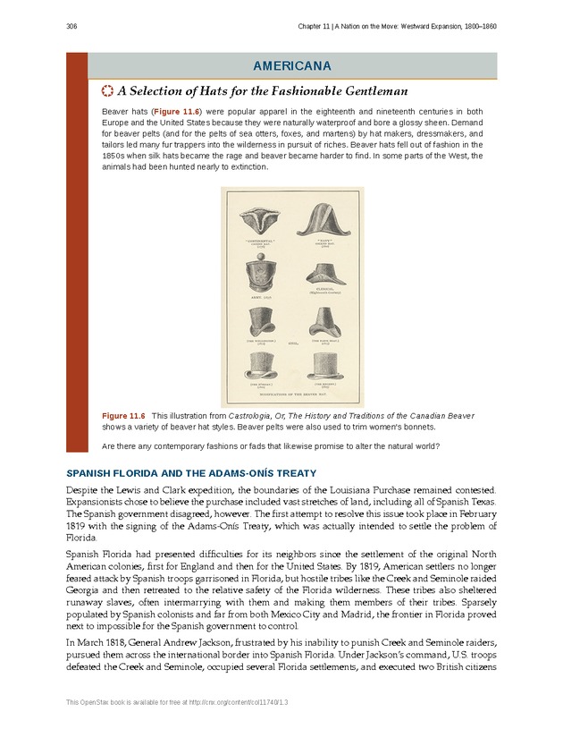 U.S. History - Page 306