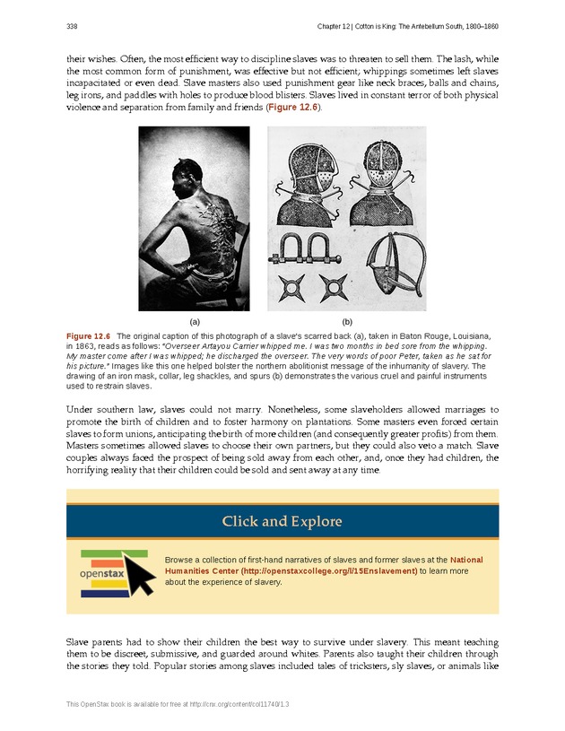 U.S. History - Page 338