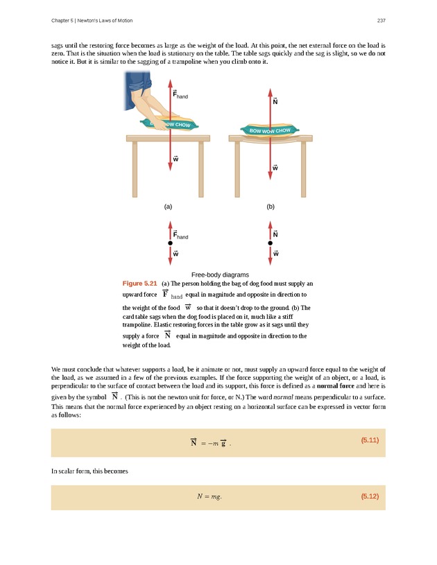 University Physics Volume 1 - Page 231