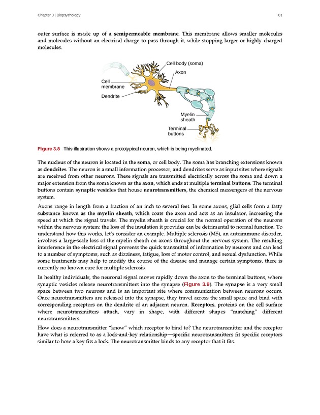 Psychology 2e - Page 77