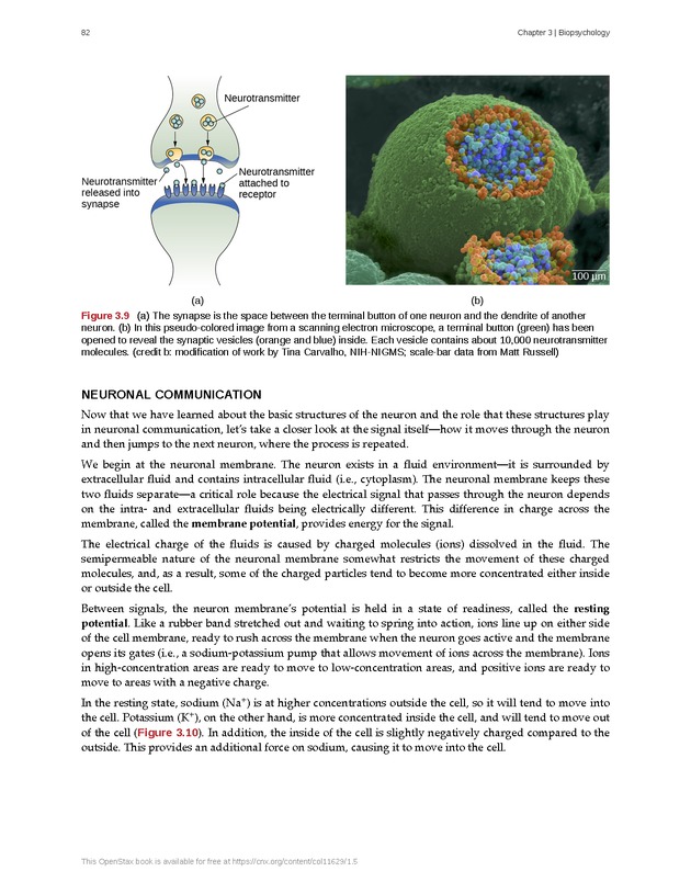 Psychology 2e - Page 78